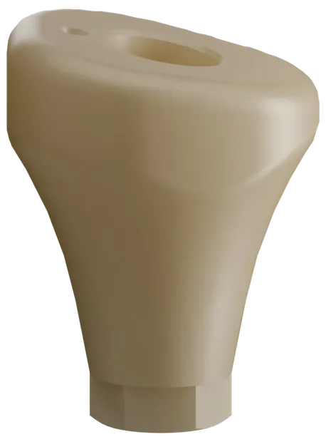 PACE anatomic abutment